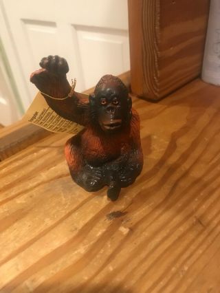 The Vanishing Wild Orangutan 1990 Safari With Tag