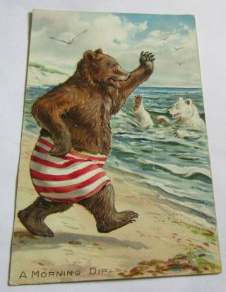 1907 Embossed Raphael Tuck Postcard Little Bears Series 118 At The Ocean